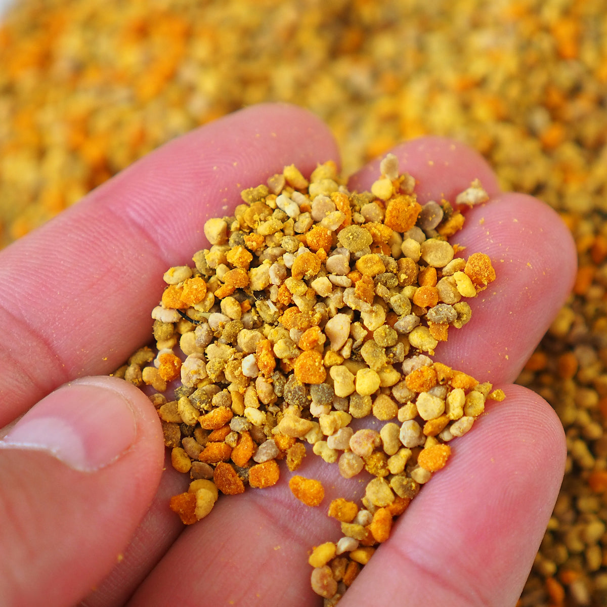 Mannavita αποξηραμένη πολύανθη γύρη μελισσών • 200 g