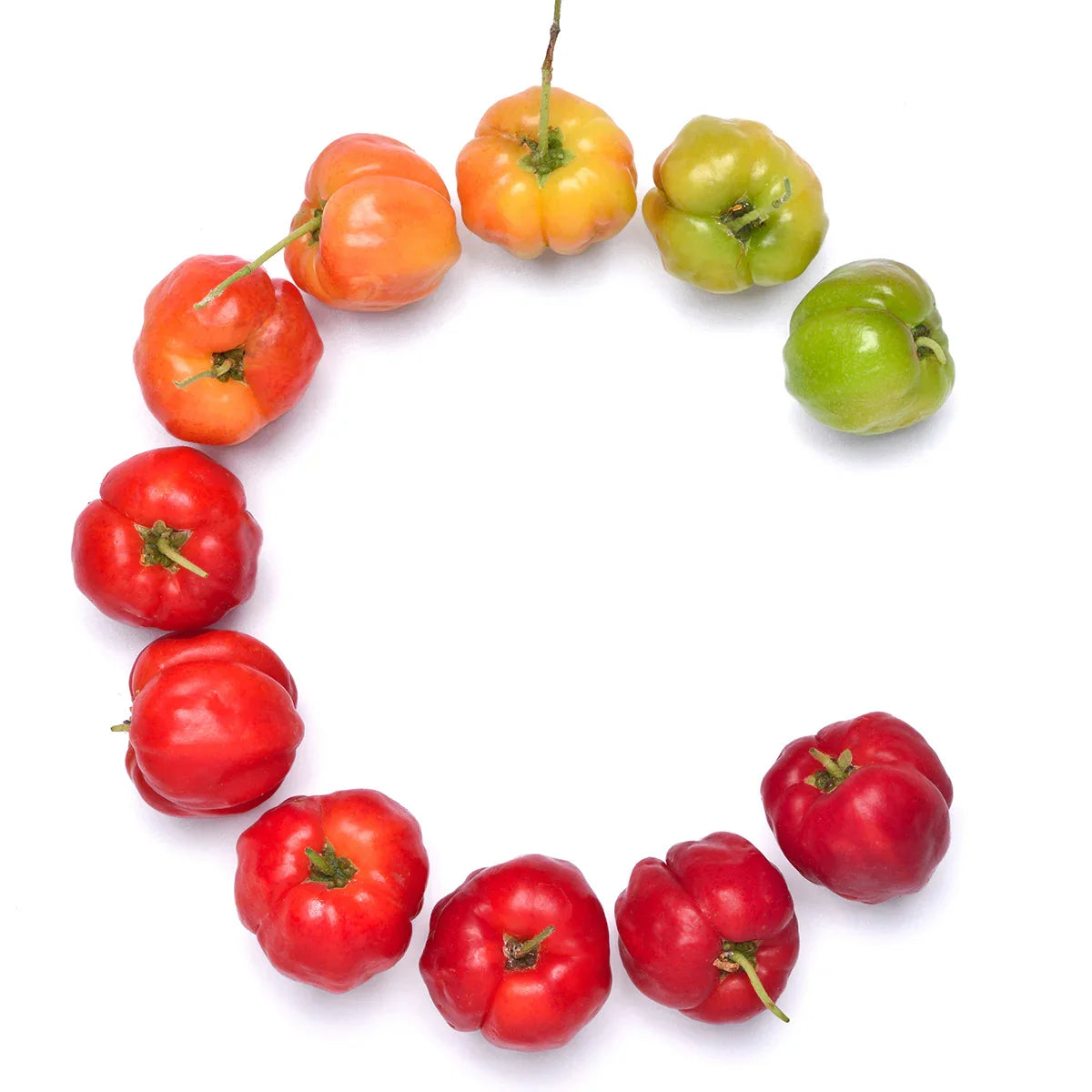 Mannavita Vitamin C complex • 250 mg bioactive • 60 capsules - Mannavita