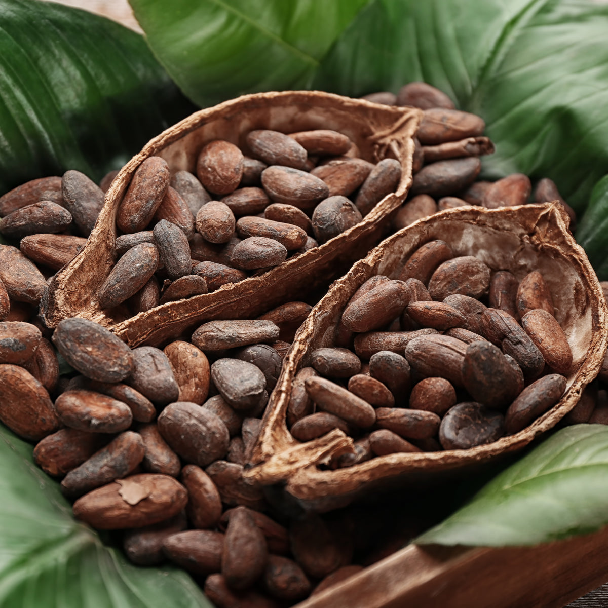 Bilbo ωμό μέλι κακάο • 250 g