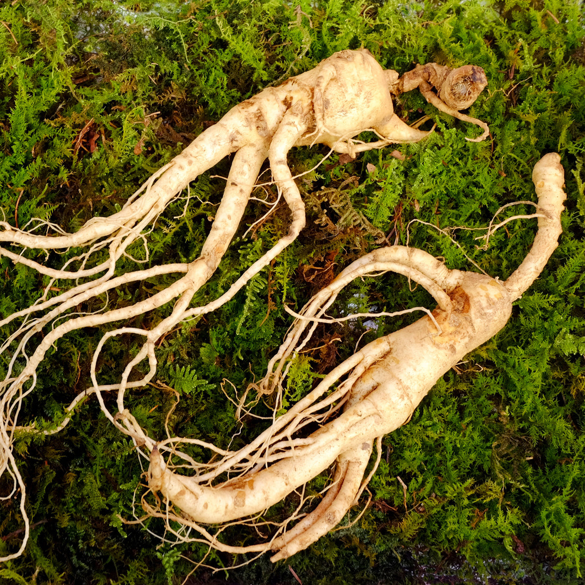 ENDOQIN ανδρική δύναμη Forte • 90 κάψουλες