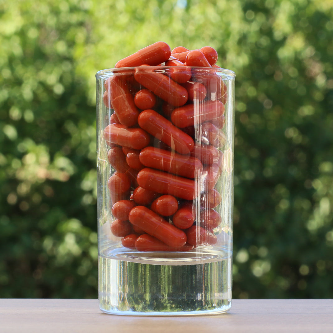 FEMNOX Βασιλικός Πολτός + Ινοσιτόλη + Φολικό Οξύ + σύμπλεγμα B12 • 90 κάψουλες