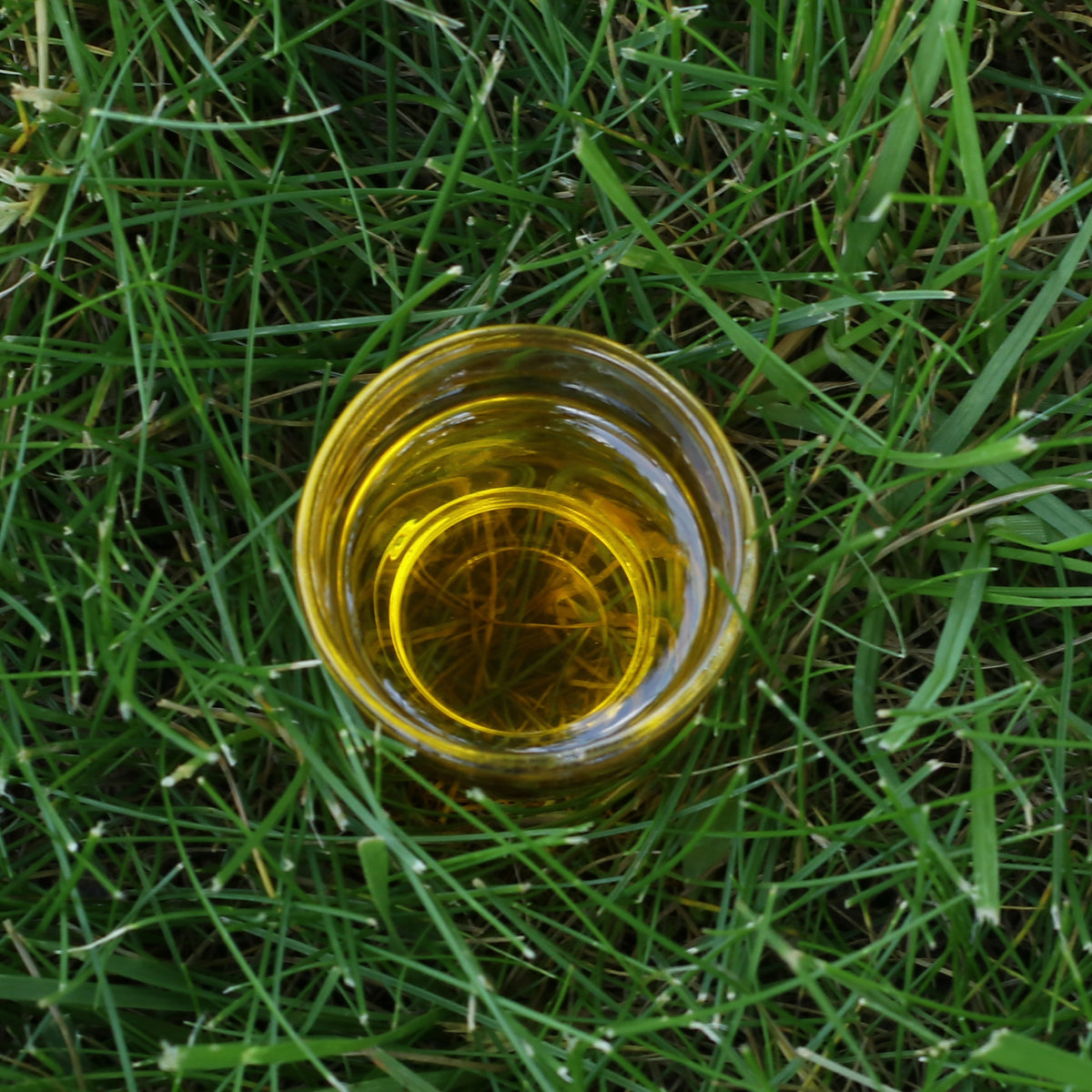 Mannavita Ουγγρικό ψυχρής έκθλιψης λινέλαιο • 250 ml