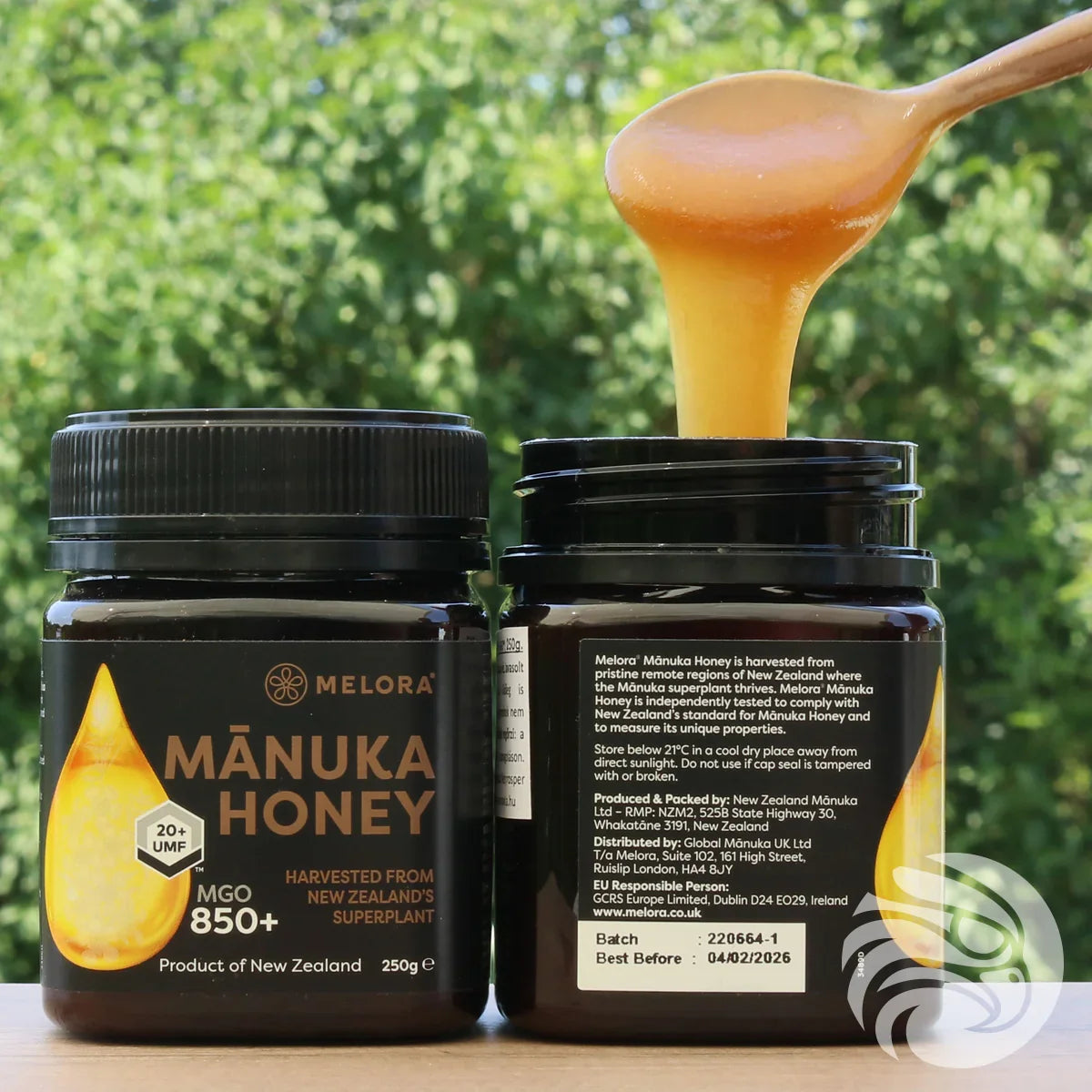 Melora Manuka Honey 850+ MGO™ UMF 20 • 250 g - Mannavita