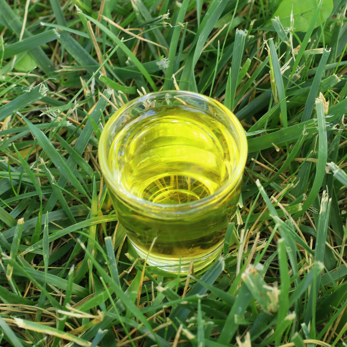 Mannavita Ουγγρικό έλαιο σπόρων γαϊδουράγκαθου ψυχρής έκθλιψης • 250 ml