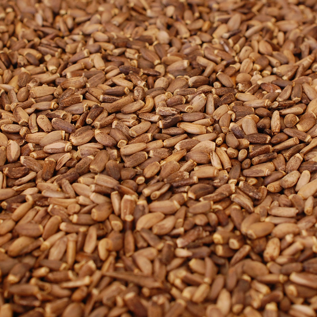 Mannavita Ουγγρικό έλαιο σπόρων γαϊδουράγκαθου ψυχρής έκθλιψης • 250 ml