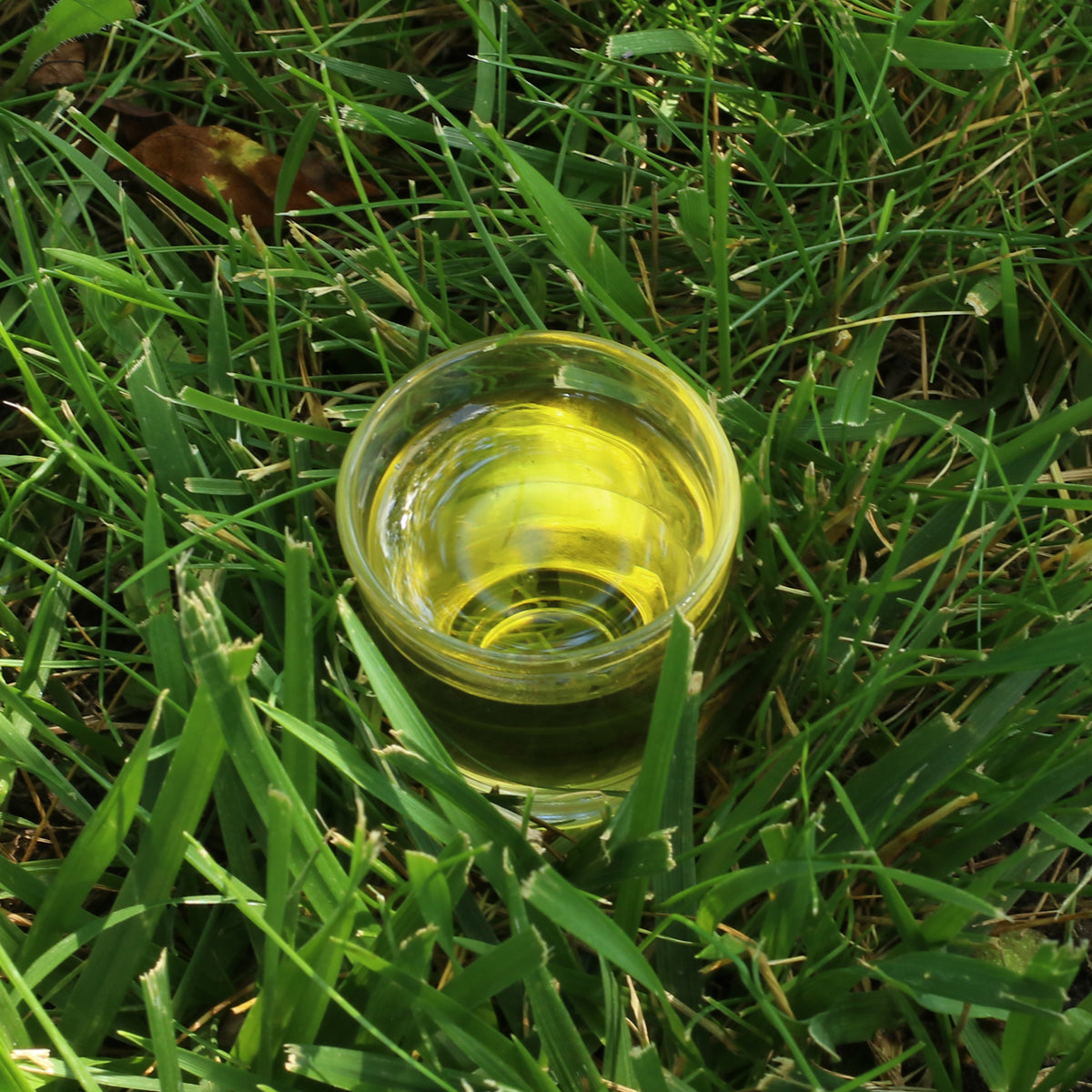 Mannavita Ουγγρικό έλαιο παπαρουνόσπορου ψυχρής έκθλιψης • 250 ml