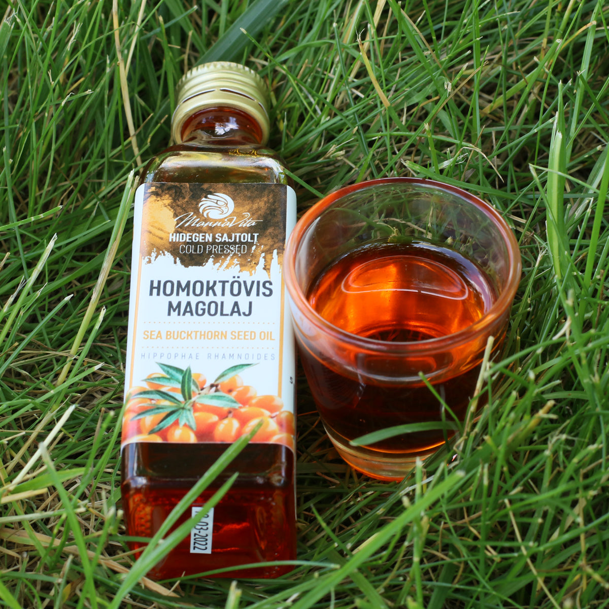 Mannavita Ουγγρικό έλαιο σπόρων ιπποφαούς ψυχρής έκθλιψης • 40 ml