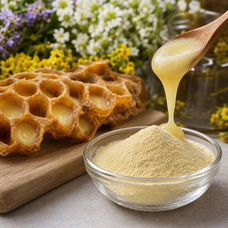 Exploring the Health Benefits of Concentrated Royal Jelly Powder with 6% 10-HDA Content