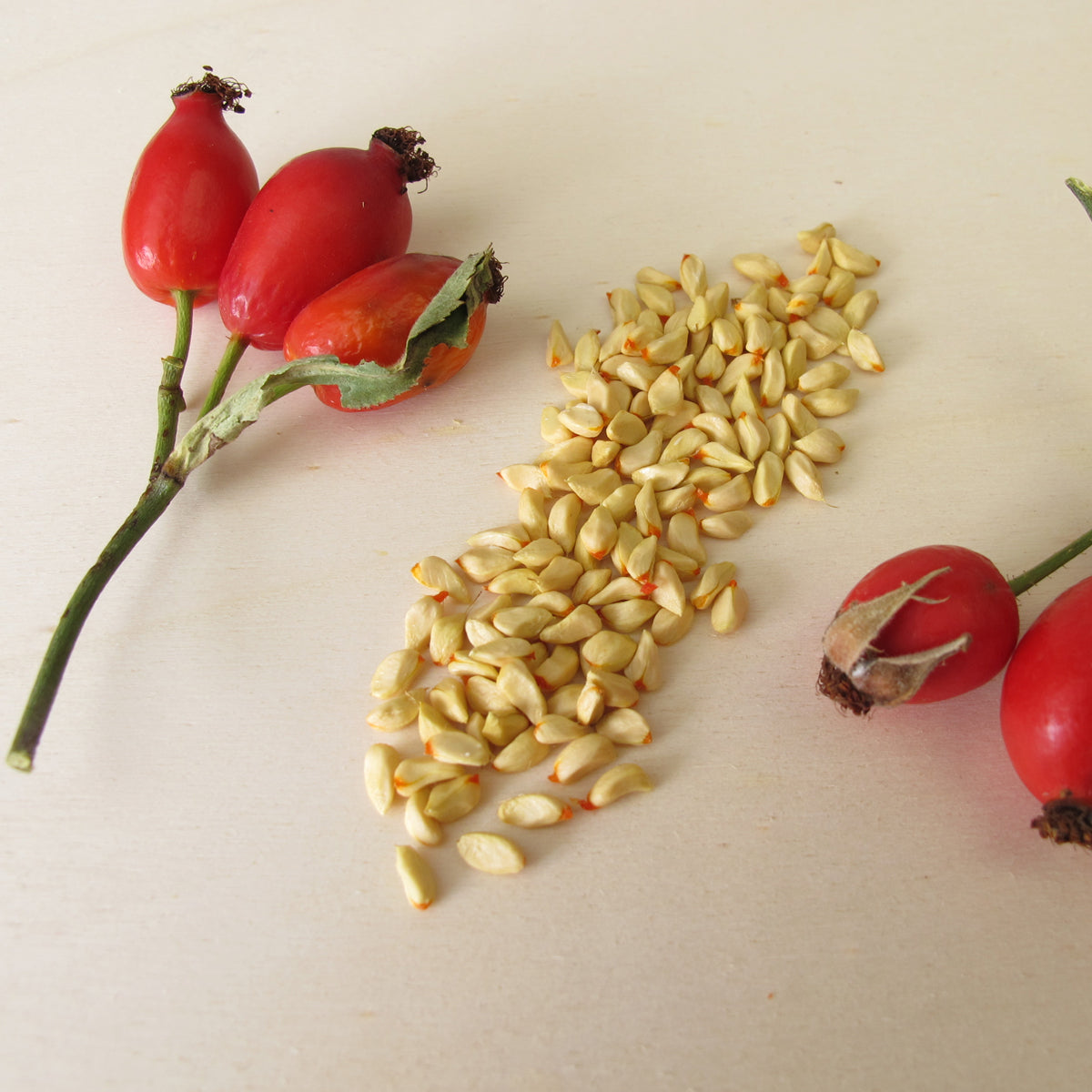 Mannavita Ουγγρικό έλαιο σπόρων αγριοτριανταφυλλιάς ψυχρής έκθλιψης • 40 ml