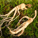 ENDOQIN ανδρική δύναμη Forte • 90 κάψουλες