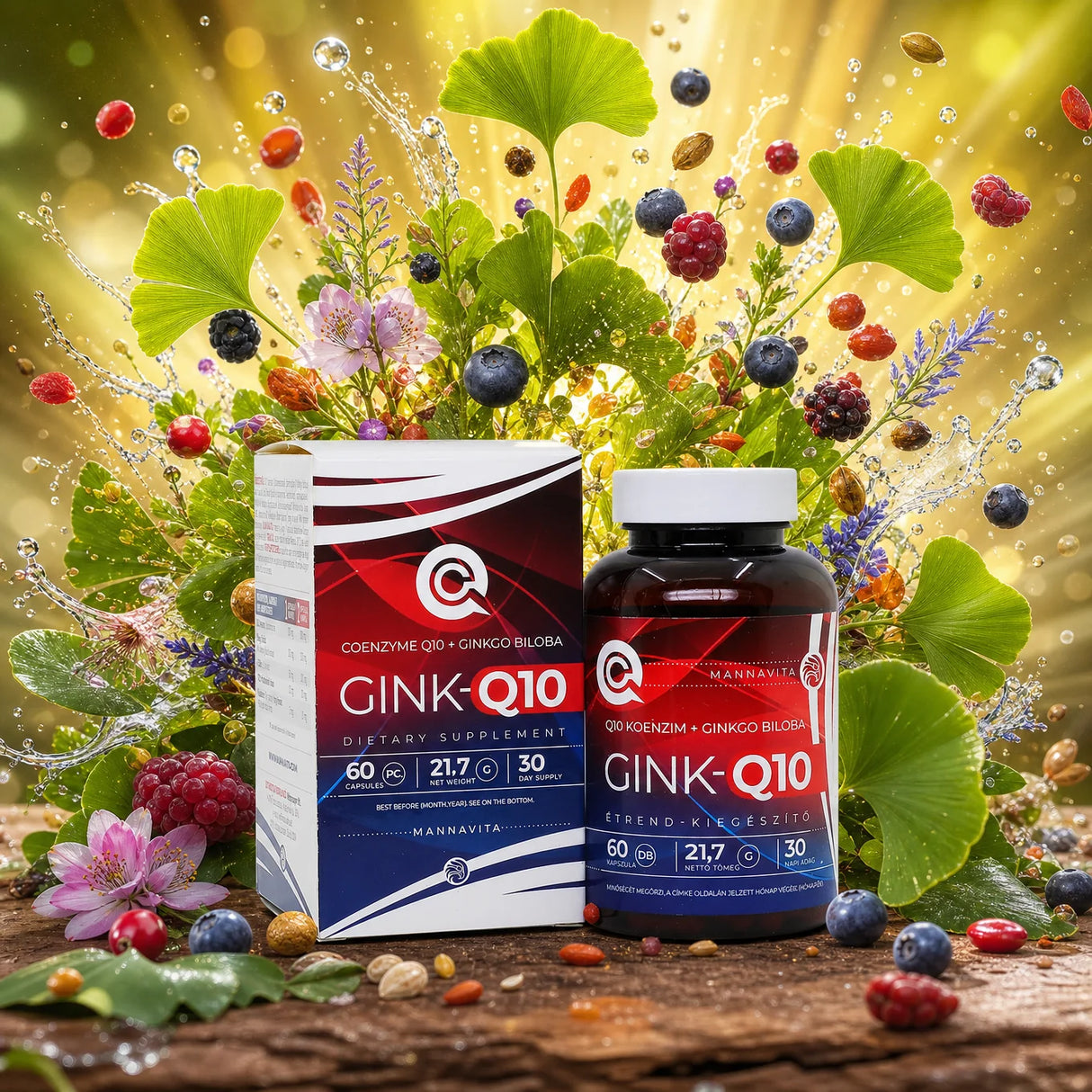 GINK-Q10 • Σύμπλεγμα Συνενζύμου Q10 + Ginkgo Biloba • 60 κάψουλες