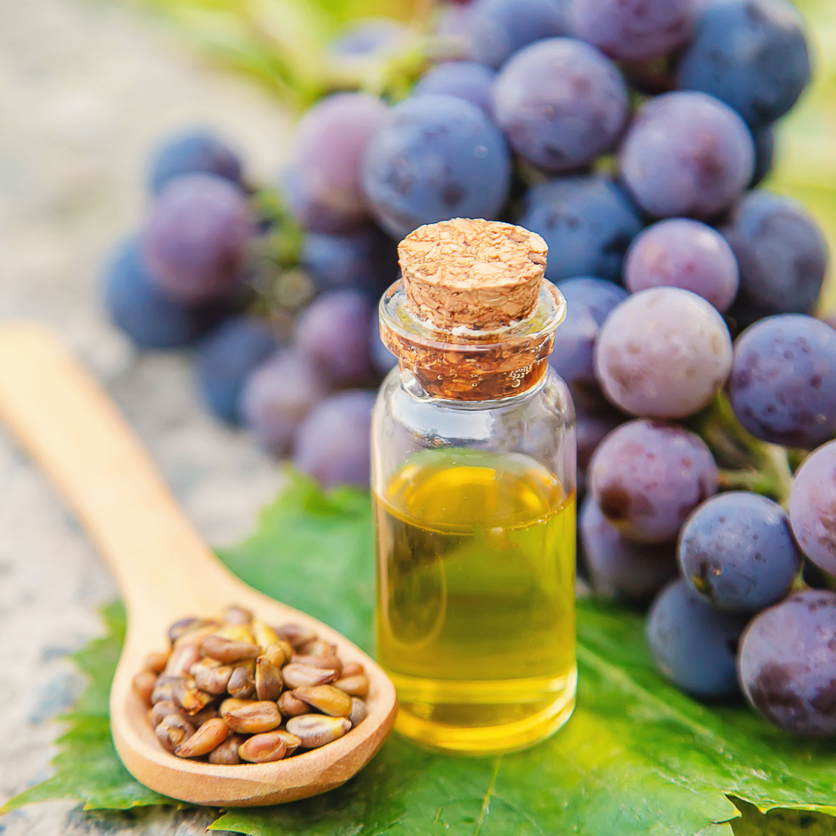 Mannavita Ουγγρικό ψυχρής έκθλιψης έλαιο σταφυλιού • 250 ml