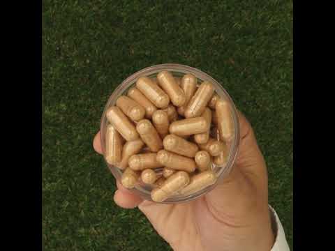 GINK-Q10 • Σύμπλεγμα Συνενζύμου Q10 + Ginkgo Biloba • 60 κάψουλες