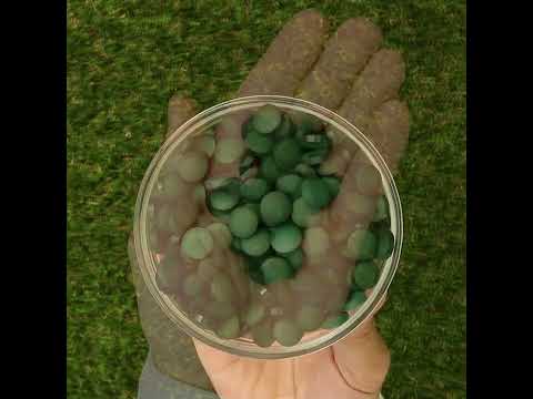 Mannavita • Δισκία Σπιρουλίνας 500 mg • 180 τεμ.