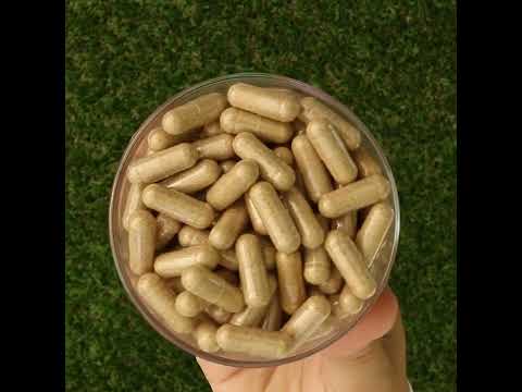 Ashwarax για ανακούφιση από άγχος, πανικό & αϋπνία • 90 κάψουλες