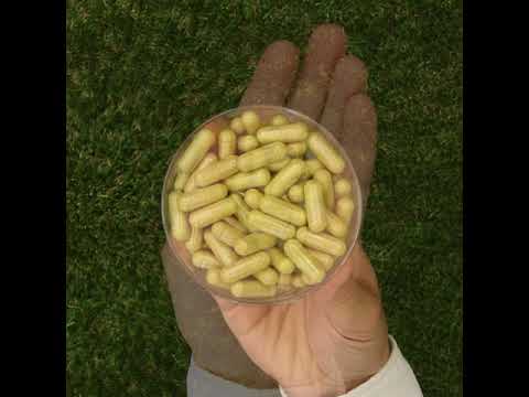 Σύμπλεγμα πεπτικών ενζύμων ENZIMA+ με Betain HCL • 90 κάψουλες