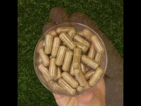 HEPADEX σύμπλεγμα αναγέννησης και βελτίωσης της υγείας του ήπατος • 60 κάψουλες