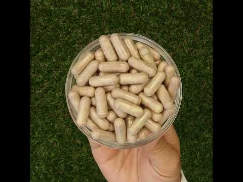 Mannavita • Συμπλήρωμα Βιταμίνης C • 250 mg βιοδραστικό • 60 κάψουλες