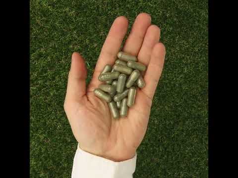 IMUNEX • Συμπλήρωμα Άλγης • με 5 φύκια • 180 κάψουλες