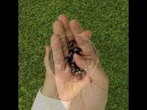 MegaKRILL 1500 mg έλαιο κριλ + ιχθυέλαιο • 90 κάψουλες