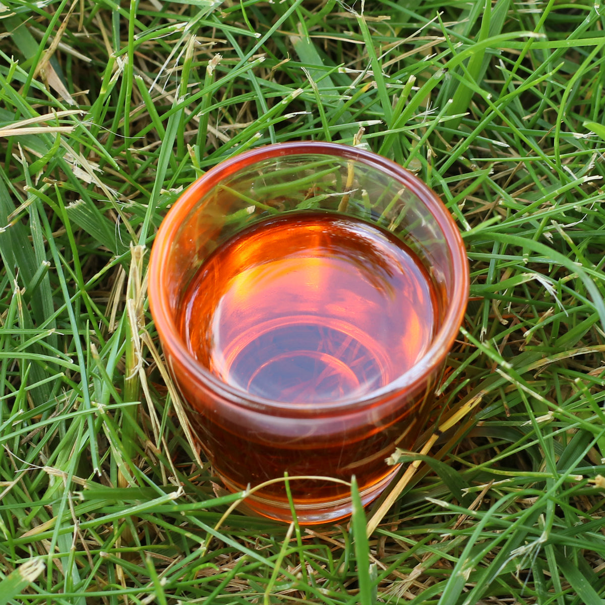 Mannavita Ουγγρικό έλαιο σπόρων ιπποφαούς ψυχρής έκθλιψης • 40 ml